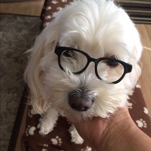 Meet your Posher, Maria